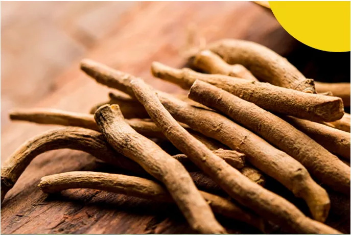 Organic Extract Organic Extract