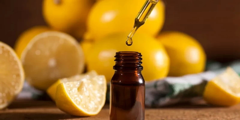 Top Organic Extracts Manufacturers and Suppliers in Japan