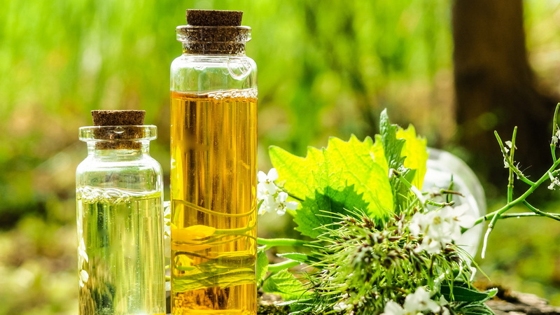 Top Herbal Extracts Manufacturers And Suppliers In India