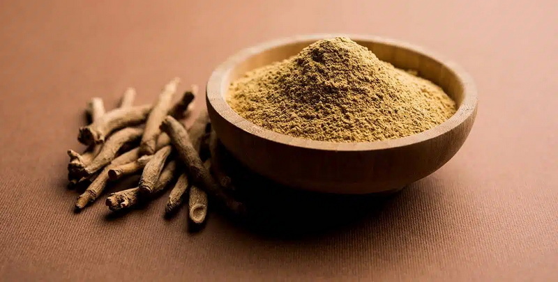 Herbal Extract Manufacturer Herbal Extract Manufacturer