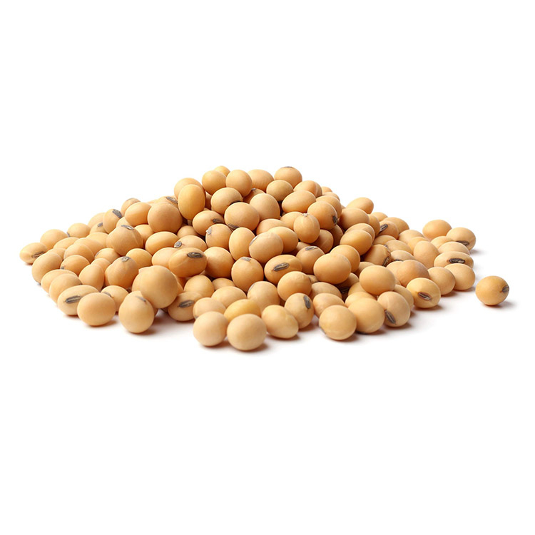 Soybean Daidzein image