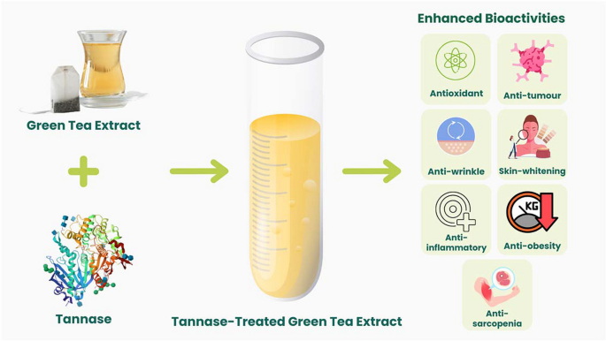 Does Green Tea Extract Clear System From Drugs_1