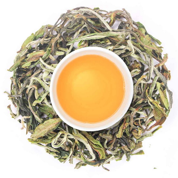 green tea extract_11 green tea extract_11