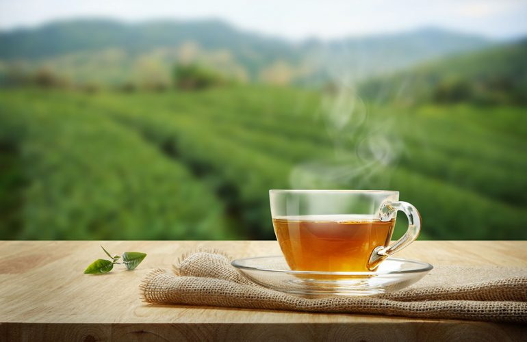 green tea extract_5_1 green tea extract_5_1