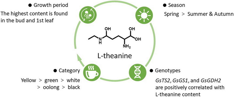 Plexus Products Have Green Tea Extrac_1 Plexus Products Have Green Tea Extrac_1