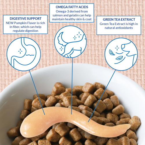 is green tea extract safe in dog food_1 is green tea extract safe in dog food_1