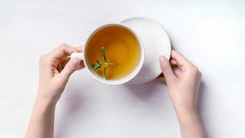 green tea extract _1_1 green tea extract _1_1