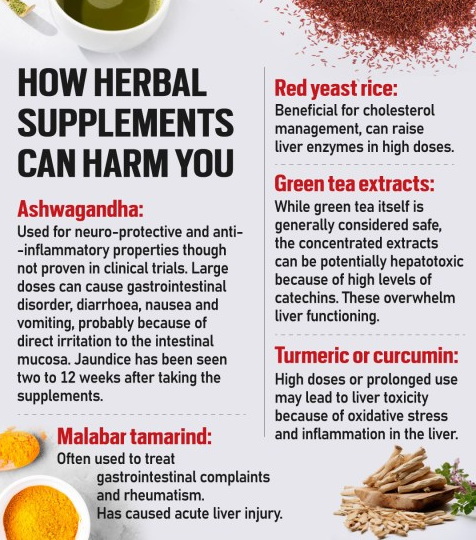 Green Tea Extract_2_14 Green Tea Extract_2_14