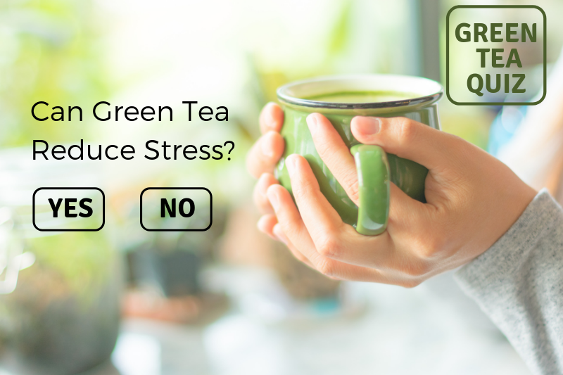 Can_Green_Tea_Reduce_Stress Can_Green_Tea_Reduce_Stress