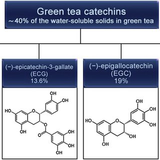 Green Tea Extract108