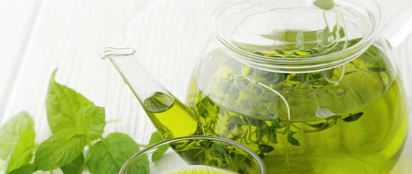 Green Tea Extract179 Green Tea Extract179