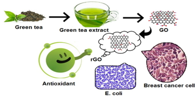 Green Tea Extract294
