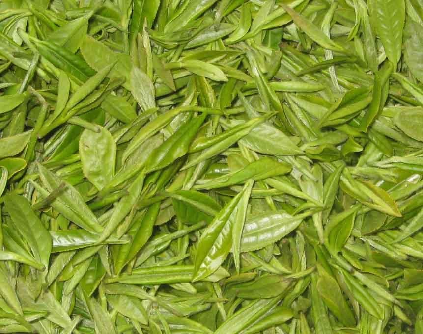 Green Tea Extract235 Green Tea Extract235