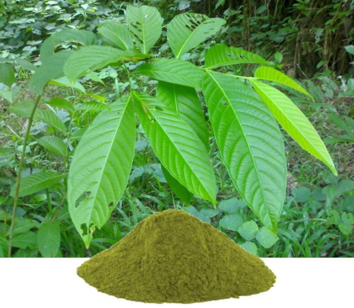what does banaba leaf extract do_2