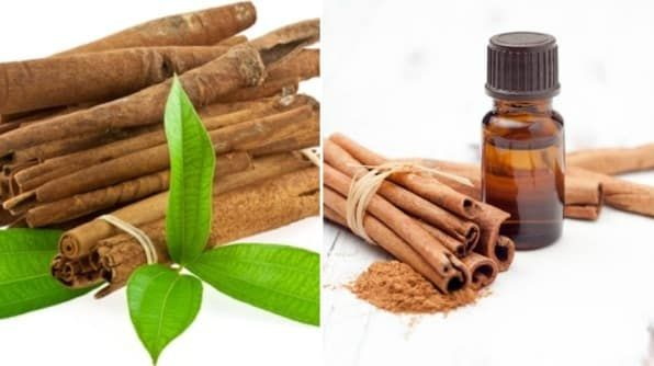 Cinnamon Bark Oil_1 Cinnamon Bark Oil_1