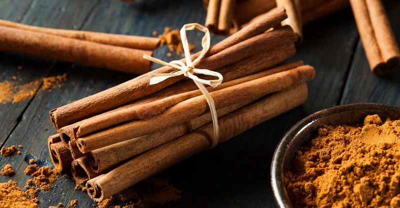 What Makes A Quality Cinnamon Bark Extract Producer What Makes A Quality Cinnamon Bark Extract Producer
