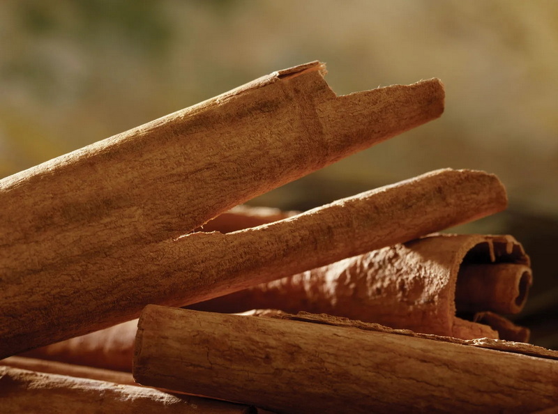 Why Is Cinnamon Bark Extract So Popular in Natural Remedies