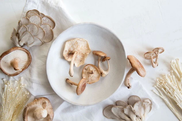 Top Mushroom Extracts Manufacturers in India Top Mushroom Extracts Manufacturers in India