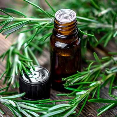 Top Organic Extracts Manufacturers and Suppliers in Arabia
