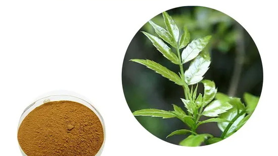 Top Vine Tea Extract Manufacturers and Suppliers in UK