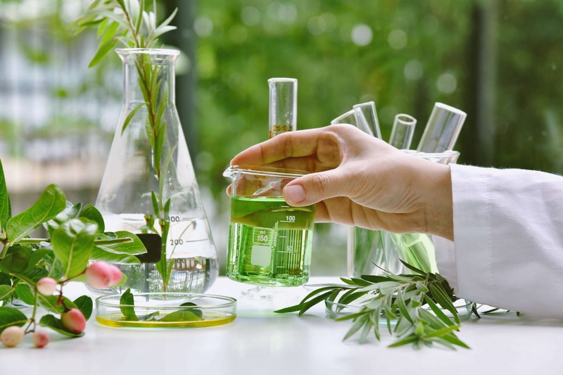 Top Herbal Extracts Manufacturers And Suppliers In Japan