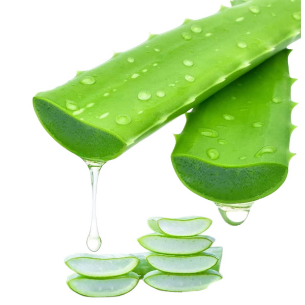 Aloe Vera Extract Aloe Vera Extract