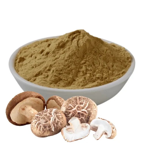 Top Mushroom Extracts Manufacturers and Suppliers in Calgary