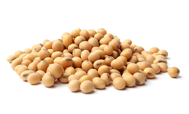 Soybean Daidzein Feed Additives Soybean Daidzein Feed Additives