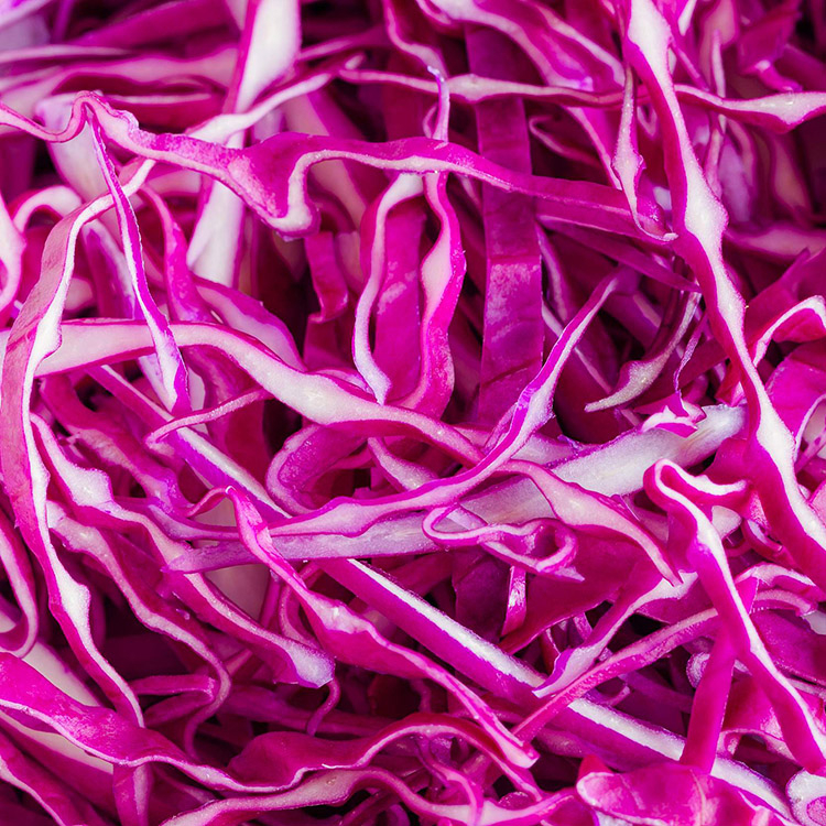 Cabbage Red image