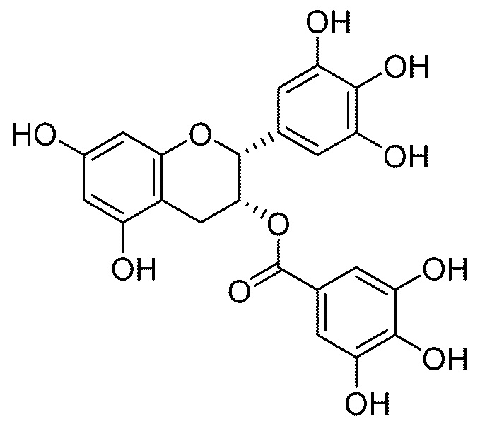 Green Tea Extract Treat Genital Warts_2 Green Tea Extract Treat Genital Warts_2