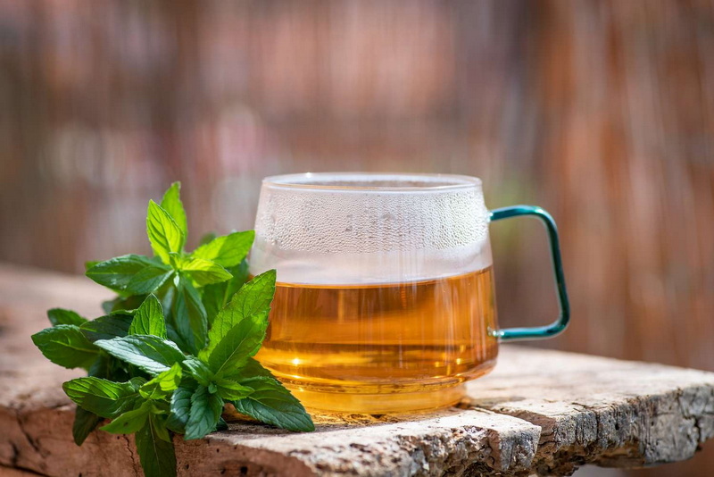 Green Tea Extract_2_2