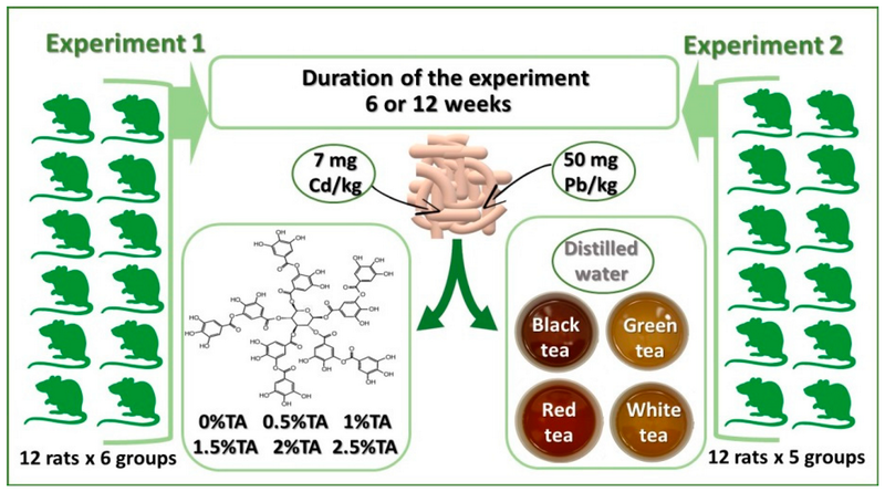 are there tannins in green tea extract_1 are there tannins in green tea extract_1