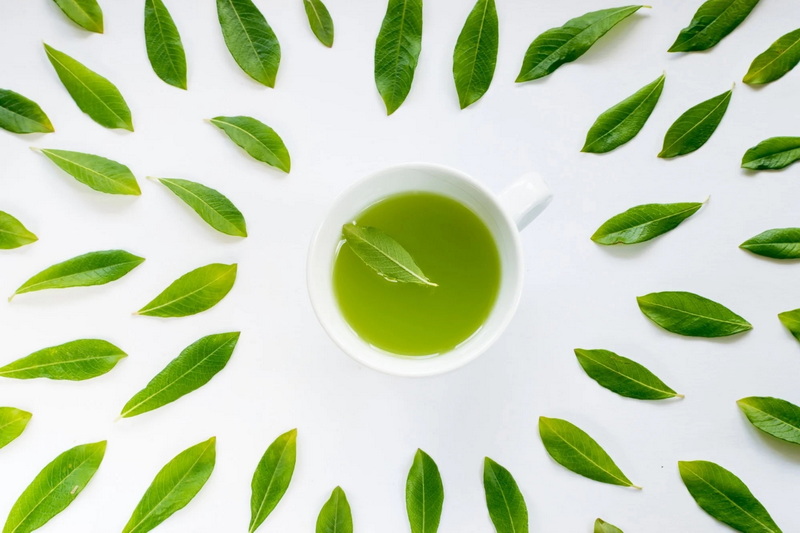 How Much Green Tea Extract Is Needed To Shrink Fibroids_1 How Much Green Tea Extract Is Needed To Shrink Fibroids_1