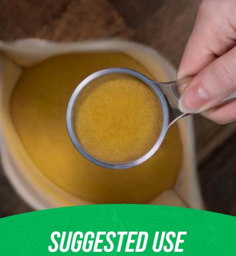 How To Use Green Tea Extract Powder-_3 How To Use Green Tea Extract Powder-_3