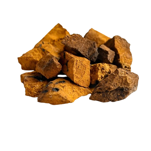 Chaga-Mushroom-Polysaccharides1-800-800-removebg-preview Chaga-Mushroom-Polysaccharides1-800-800-removebg-preview