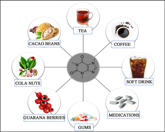 Green Tea Extract1021 Green Tea Extract1021