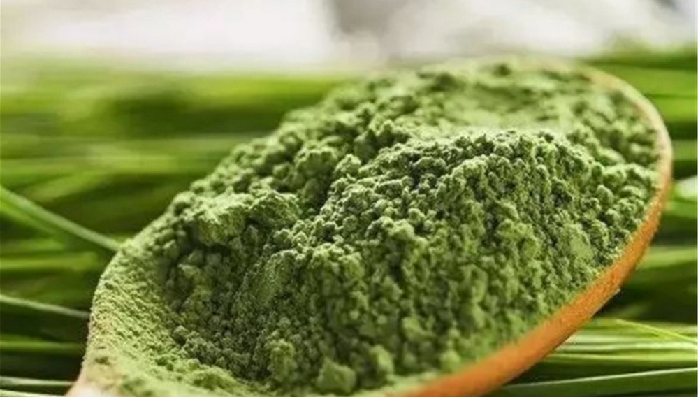 Green Tea Extract封面 Green Tea Extract封面