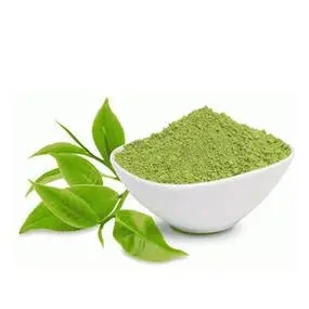 Green Tea Extract2 Green Tea Extract2