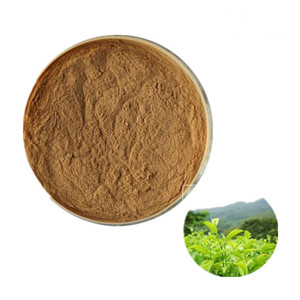 Green Tea Extract141 Green Tea Extract141