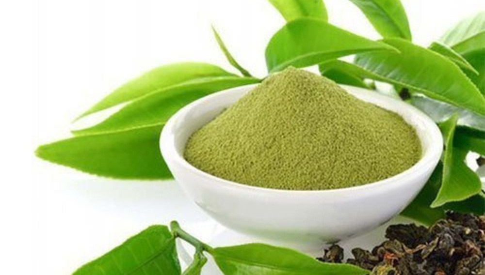 Green Tea Extract Green Tea Extract
