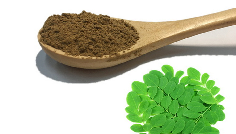 Is Green Tea Extract Safe for Cats？