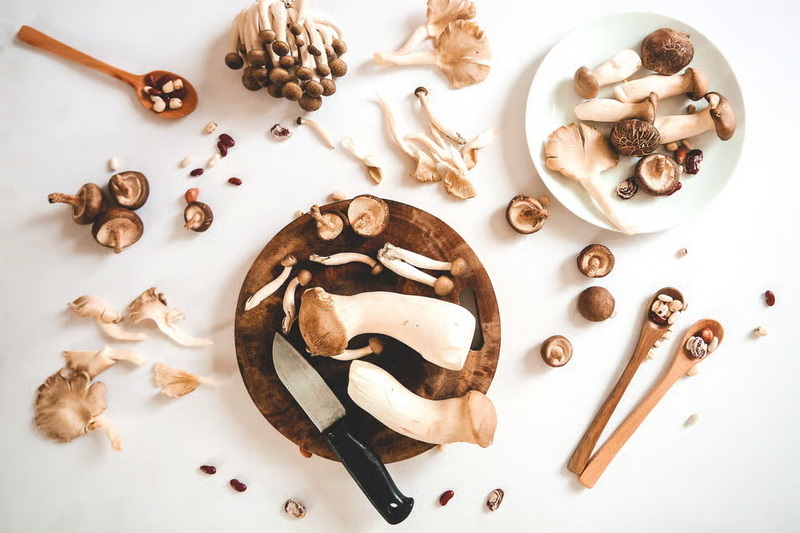 Top Mushroom Extracts Manufacturers in Japan