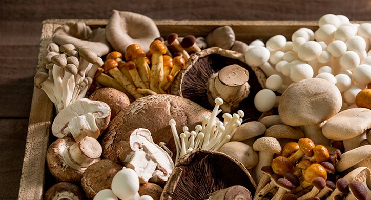 Top Mushroom Extracts Manufacturers in Arabia