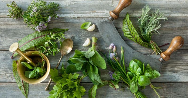 Top Botanical Manufacturers Top Botanical Manufacturers