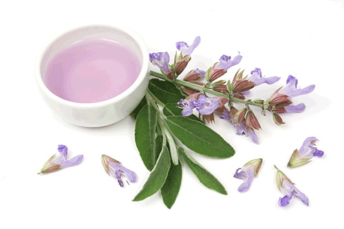 Top Herbal Extracts Manufacturers and Suppliers in Ottawa