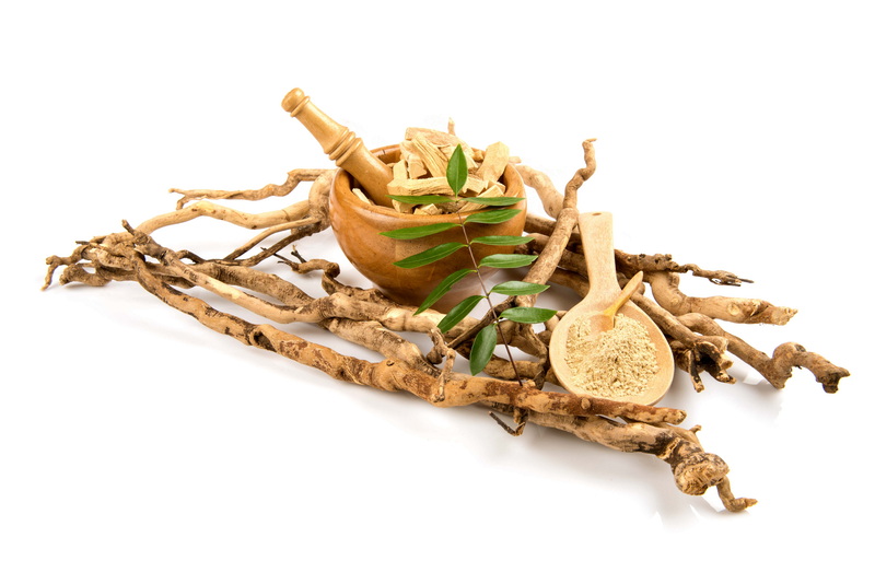 Tongkat Ali Extract Supplier Tongkat Ali Extract Supplier
