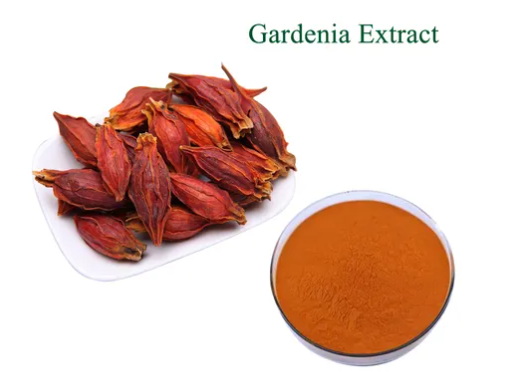 Gardenia Extract Factory Gardenia Extract Factory