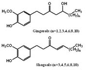 ginger oleoresin1 ginger oleoresin1
