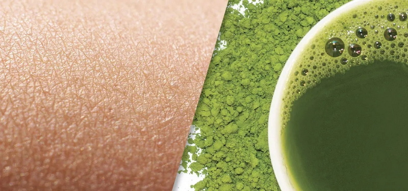 Green Tea Extract Treat Genital Warts_1 Green Tea Extract Treat Genital Warts_1
