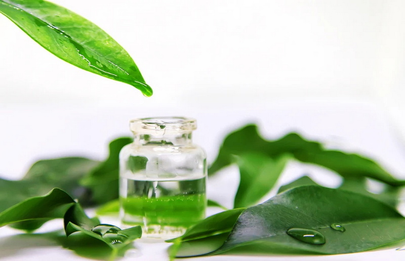 Green Tea Extract Cause Hair Loss_2 Green Tea Extract Cause Hair Loss_2
